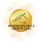 Beneficios de la grafología